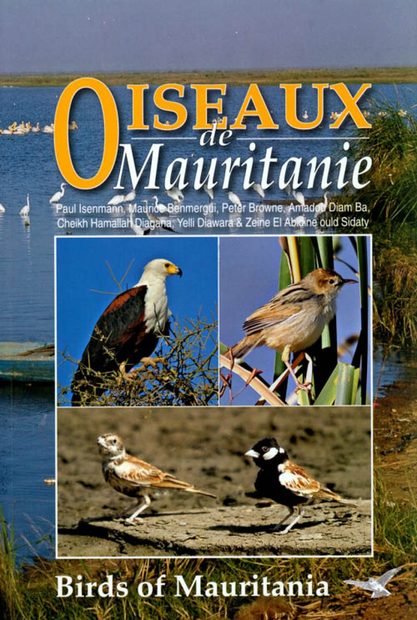 Birds of Mauritania / Oiseaux de Mauritanie