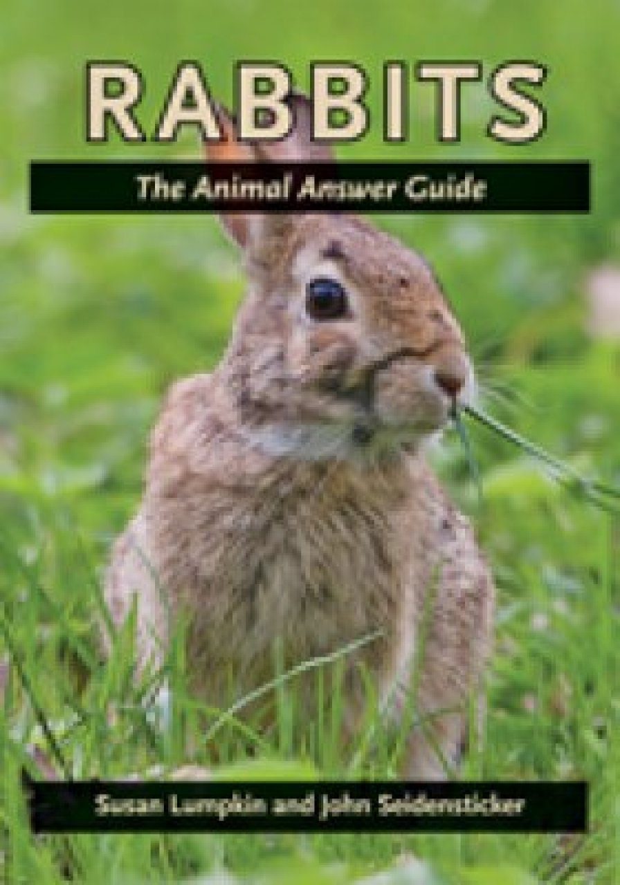 Rabbits: The Animal Answer Guide | NHBS Academic & Professional Books