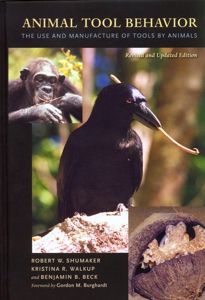 Animal Tool Behavior
