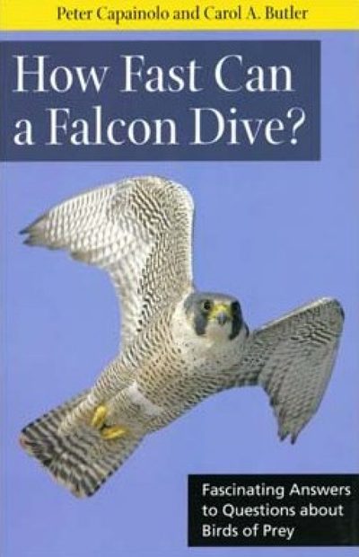 How Fast Can a Falcon Dive?
