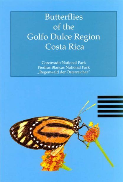 Butterflies of the Golfo Dulce Region, Costa Rica