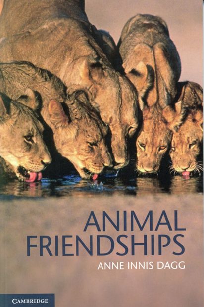 Animal Friendships