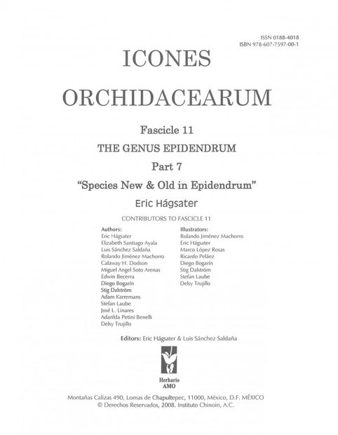 Icones Orchidacearum, Fascicle 11
