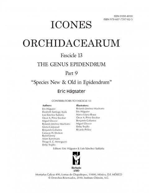 Icones Orchidacearum, Fascicle 13