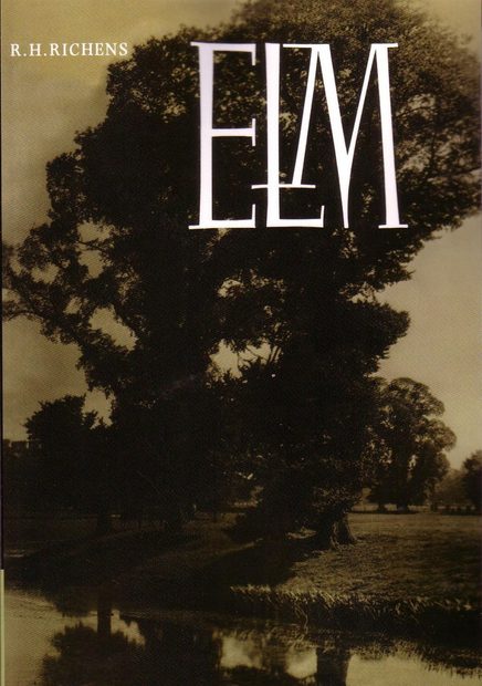 Elm
