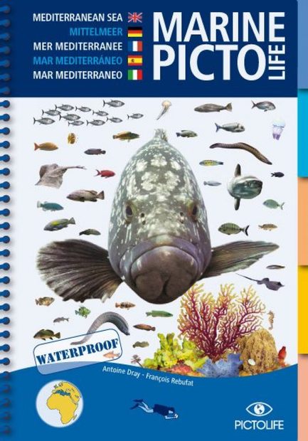 Marine Pictolife Mediterranean Sea [multilingual]