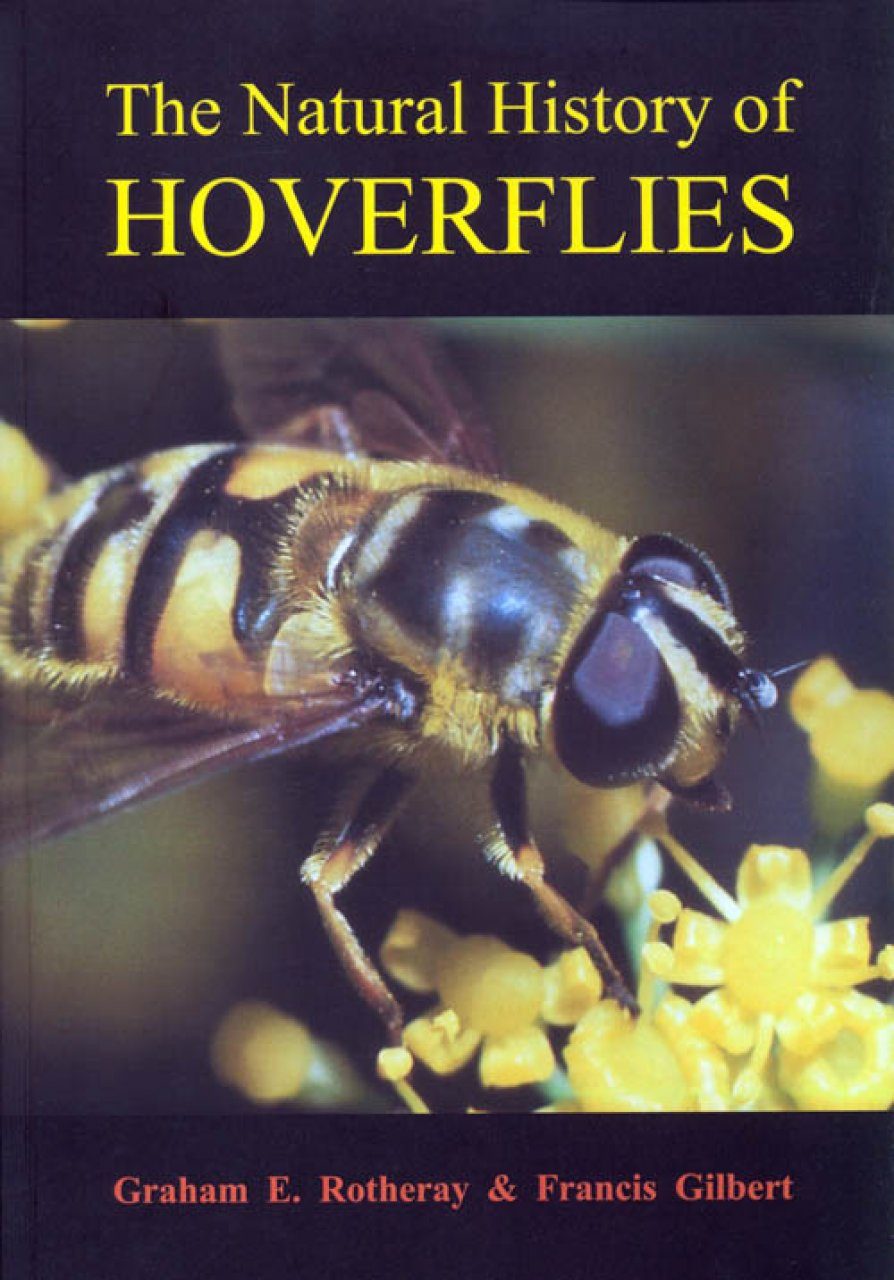 The Natural History Of Hoverflies Graham E Rotheray And