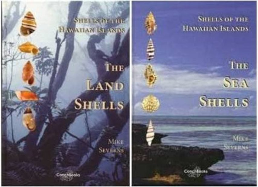 Shells of the Hawaiian Islands (2-Volume Set)