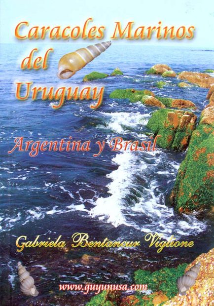 Caracoles Marinas del Uruguay, Argentina y Brasil