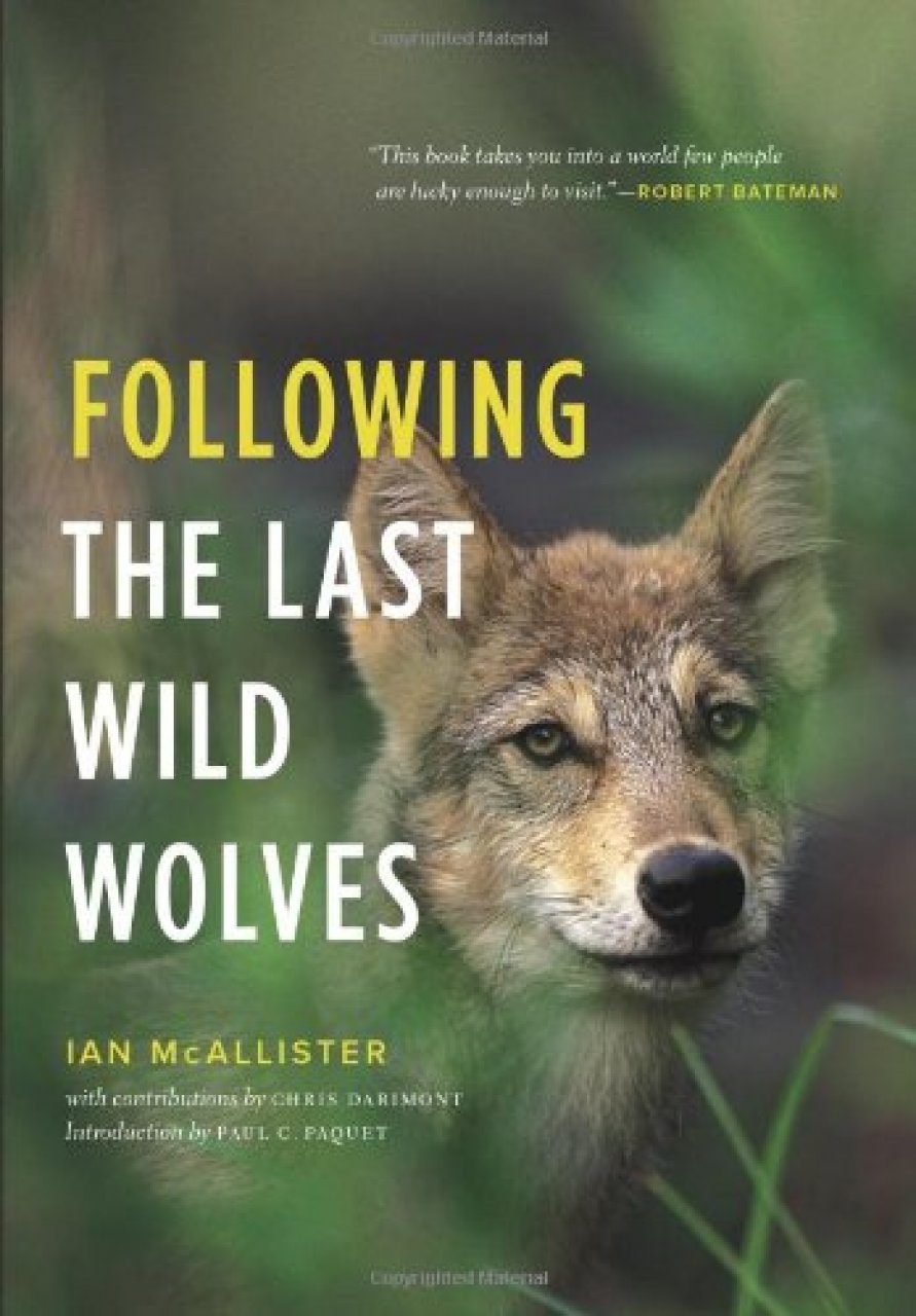 Читать книгу волков гимназия. Книга волк. Золотые волки книга. В поисках волка книга. Последний волк книга.