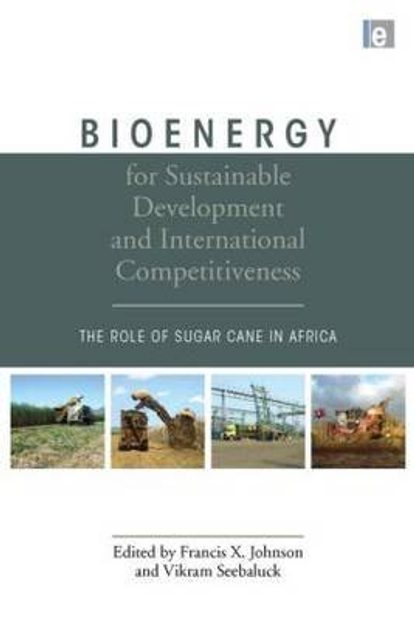 Bioenergy for Sustainable Development and International Competitiveness
