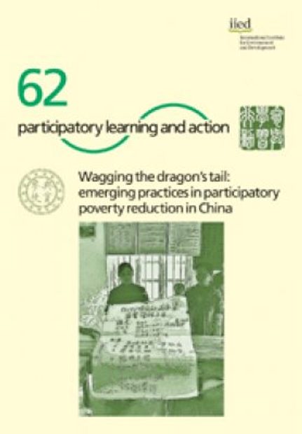 Wagging the Dragon's Tail