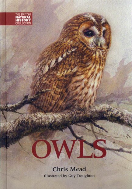 Owls