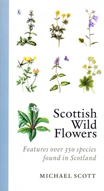 Scottish Wild Flowers