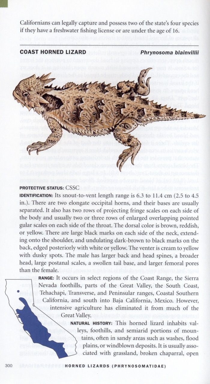 Field Guide to Amphibians and Reptiles of California | NHBS Field ...