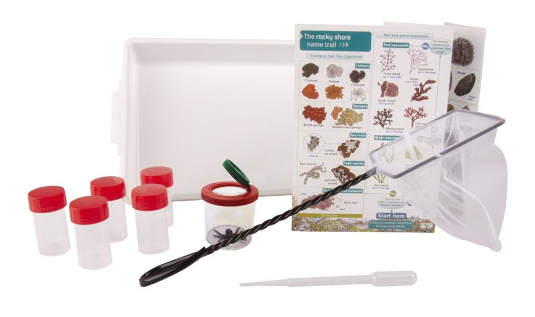 Educational Rock Pooling Kit