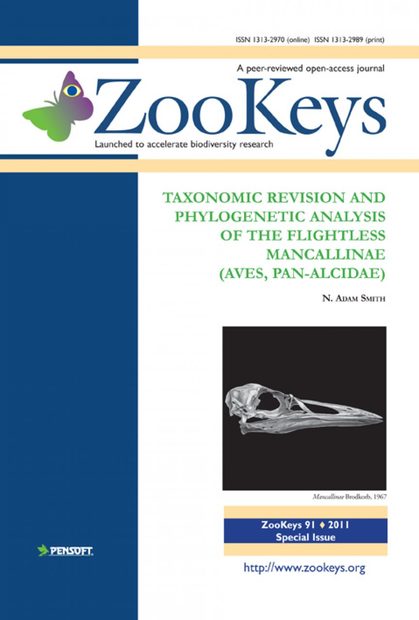 ZooKeys 91: Taxonomic Revision and Phylogenetic Analysis of the Flightless Mancallinae (Aves, Pan-Alcidae)