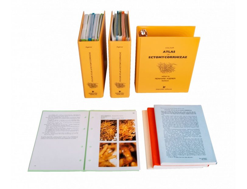 Colour Atlas of Ectomycorrhizae, Parts 1-15