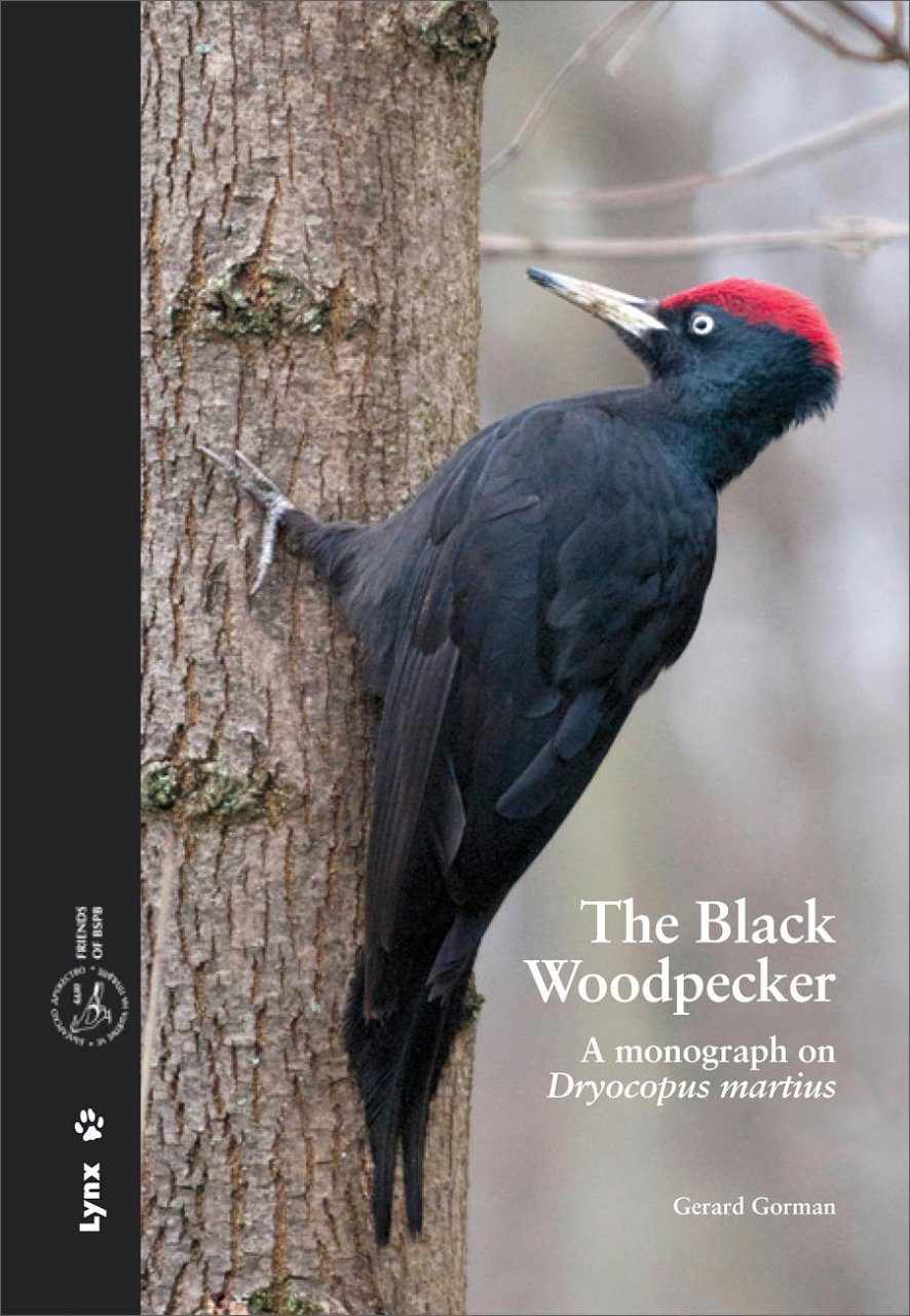 The Black Woodpecker A Monograph On Dryocopus Martius Nhbs Academic Professional Books