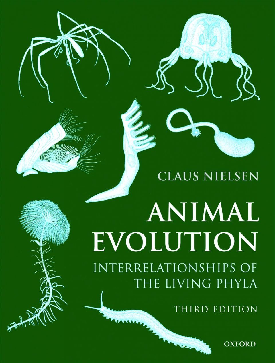 Animal Evolution Interrelationships Of The Living Phyla