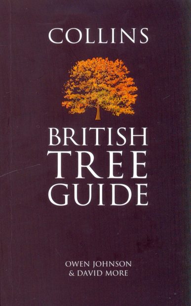 Collins British Tree Guide