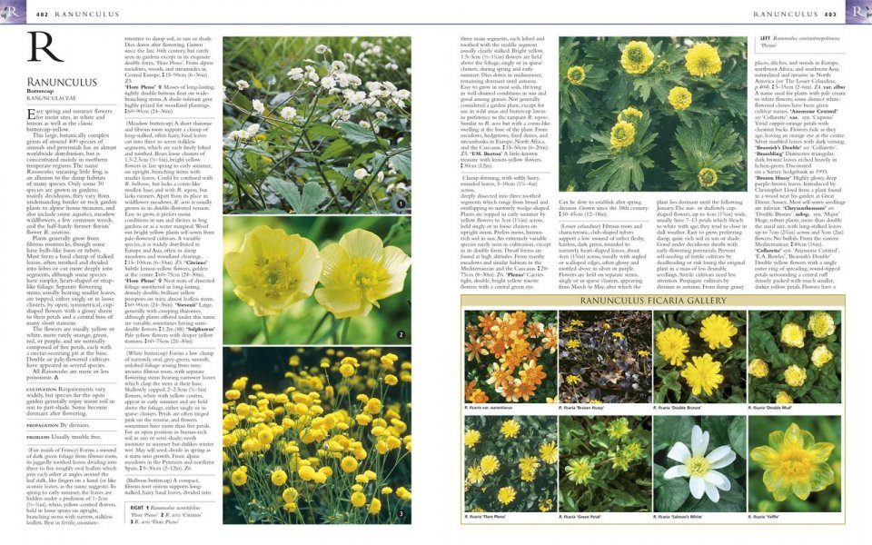 The Royal Horticultural Society Encyclopedia of Perennials | NHBS ...