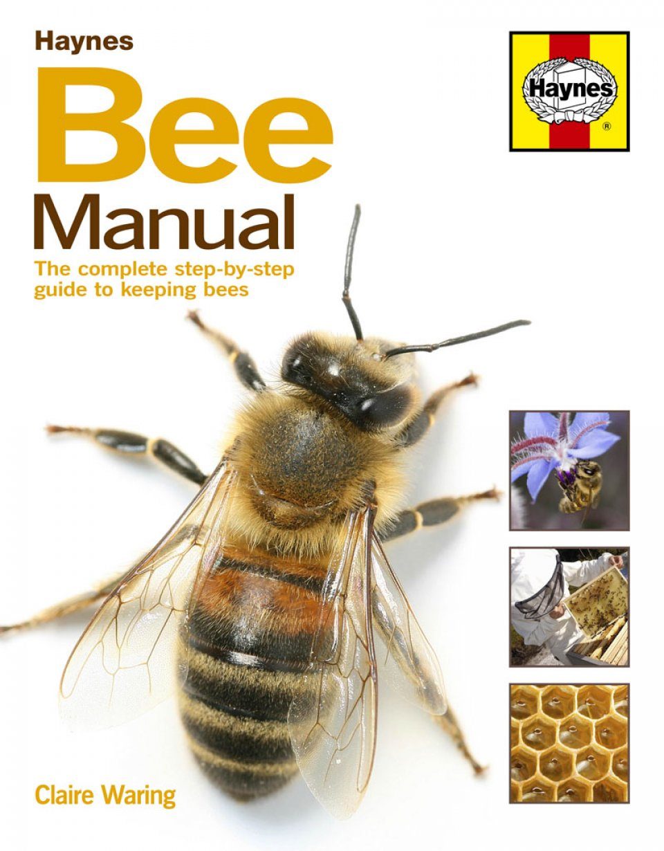 Haynes Bee Manual The Complete Step By Step Guide To