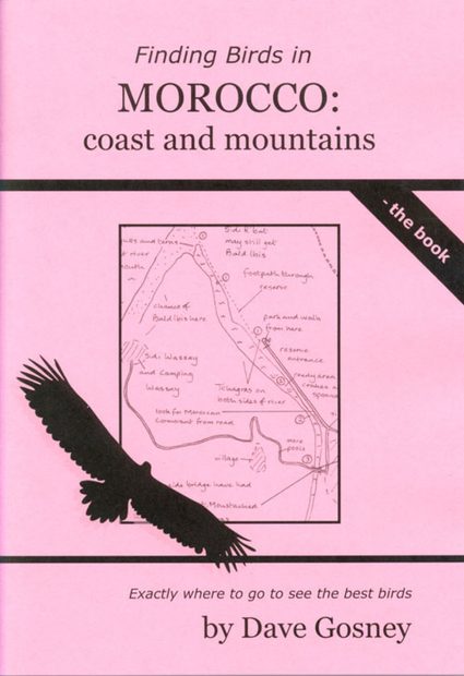 Finding Birds in Morocco: Coast and Mountains
