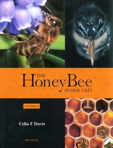 The Honey Bee Inside Out