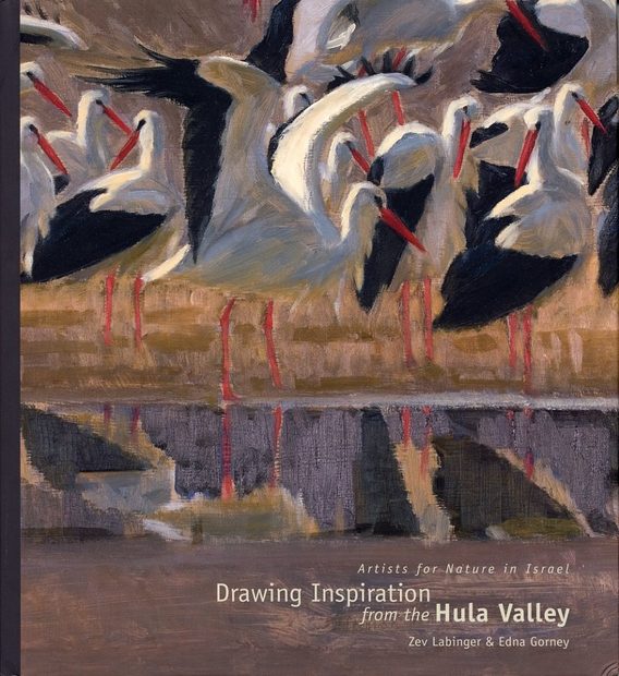 Drawing Inspiration from the Hula Valley