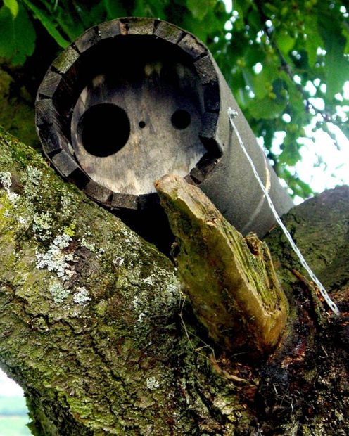 Schwegler No 20A Little Owl Box