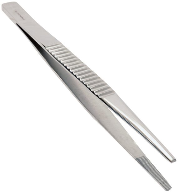 Forceps F10 Bluntstraight200mm Eq Nhbs Wildlife Survey And Monitoring 