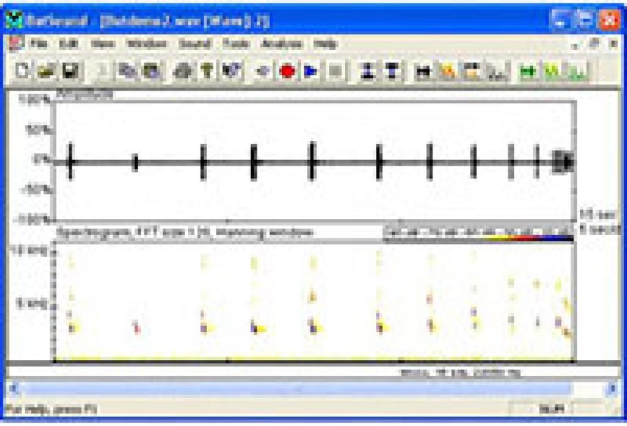 Pettersson BatSound Software Upgrade to v4.x