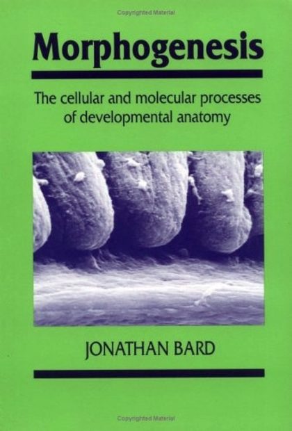 Morphogenesis: The Cellular and Molecular Processes of Developmental Anatomy