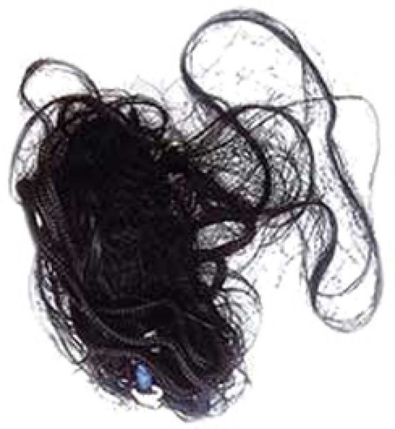 Avinet DG4 Dho-Gaza Net