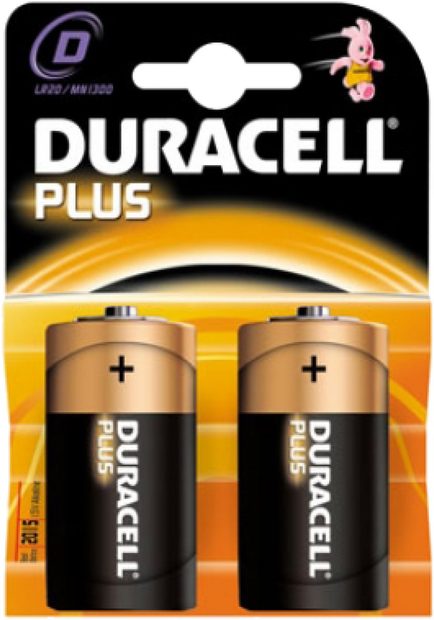 D-Cell Alkaline Battery (LR20): 2 Pack