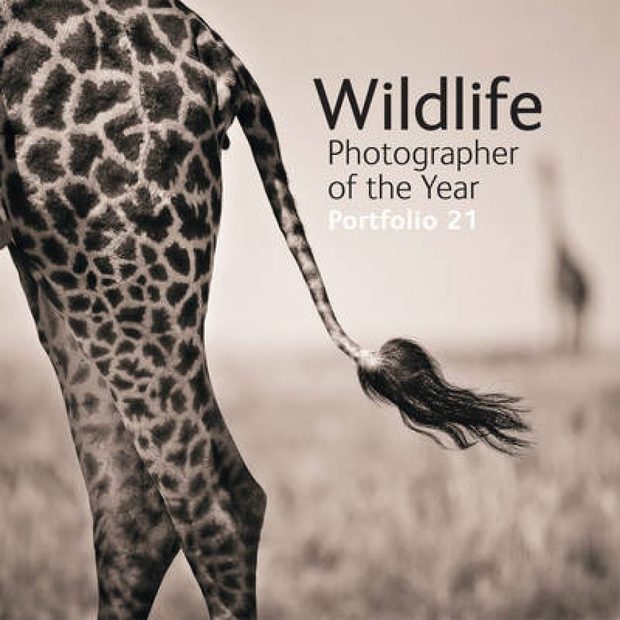 Wildlife Photographer of the Year, Portfolio 21
