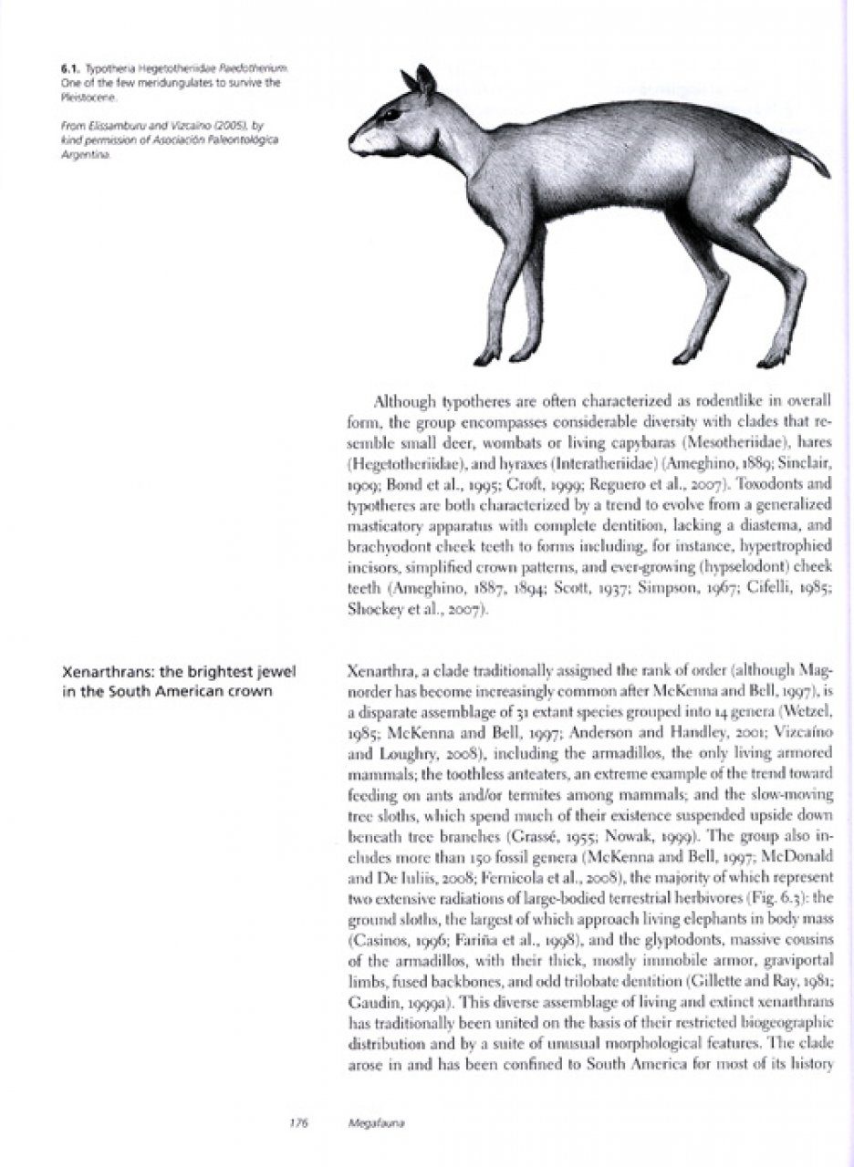Megafauna: Giant Beasts of Pleistocene South America | NHBS Academic &  Professional Books