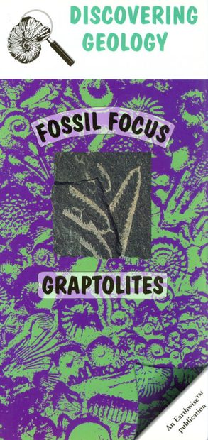 Graptolites: Fossil Focus Guide