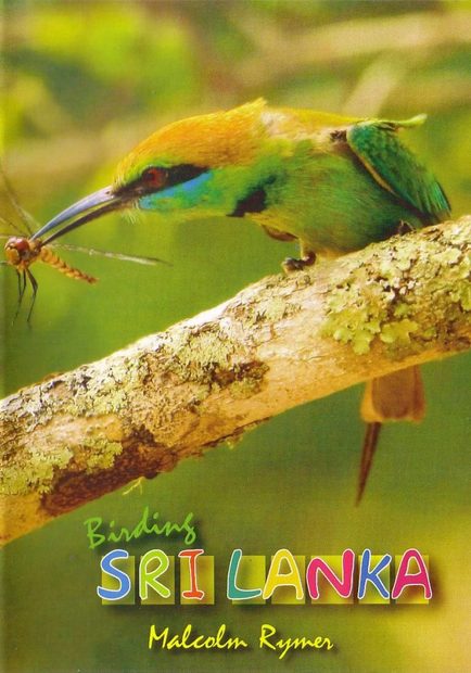 Birding Sri Lanka (All Regions)
