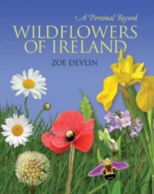 Wildflowers of Ireland