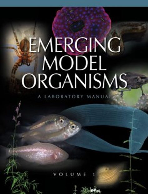 Emerging Model Organisms, Volume 1