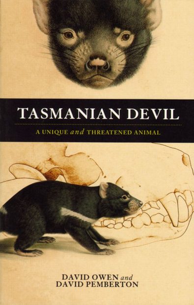 Tasmanian Devil