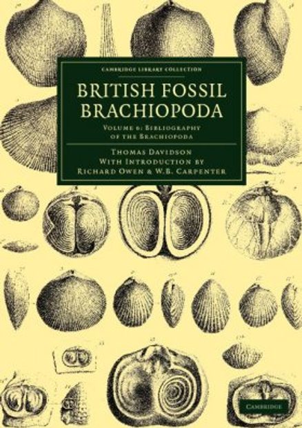 British Fossil Brachiopoda, Volume 6