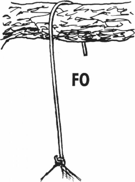 Schwegler Replacement Hanger (FO) for 2M Nest Boxes