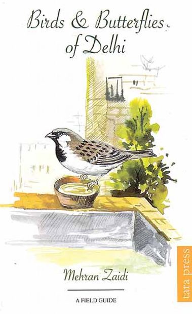 Birds and Butterflies of Delhi