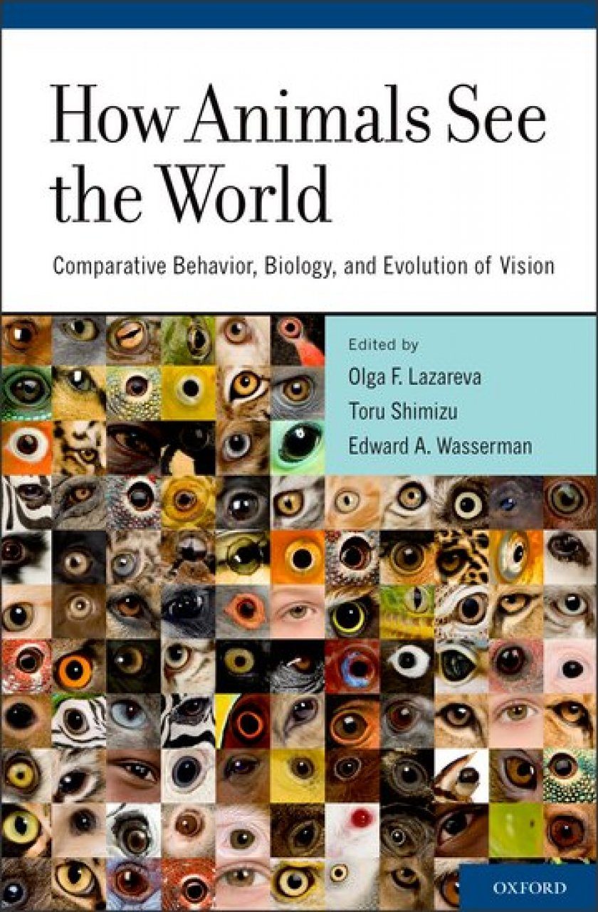 Comparing the worlds. How animals see. How animals see the World. See animals. Behavior in Biology.