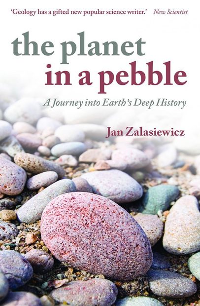 The Planet in a Pebble