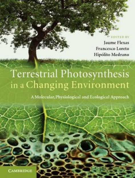 Terrestrial Photosynthesis in a Changing Environment