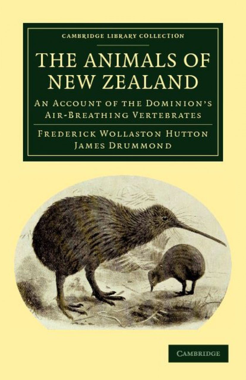 The Animals of New Zealand: An Account of the Dominion's Air-Breathing  Vertebrates | NHBS Academic & Professional Books